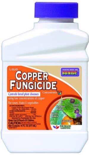 What is the Best Lawn Fungicide for Brown Patch in 2020?