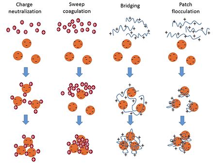 Coagulation and flocculation | My Site 1