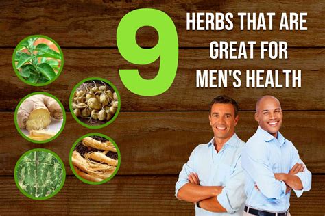 9 herbs that are great for men's health - Sidomex Entertainment