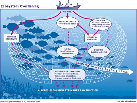 Solutions of Overfishing - OverFishing