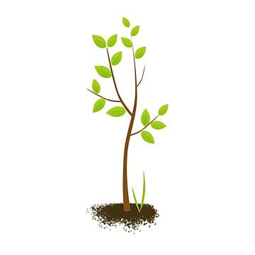 Growing Tree Clipart