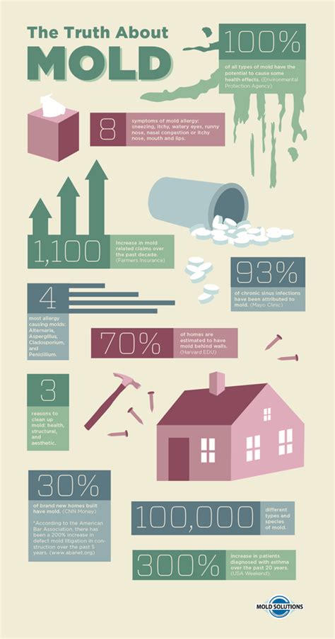 Mold- A Public Health Concern | Alliance Environmental | Public health, Health education, Health