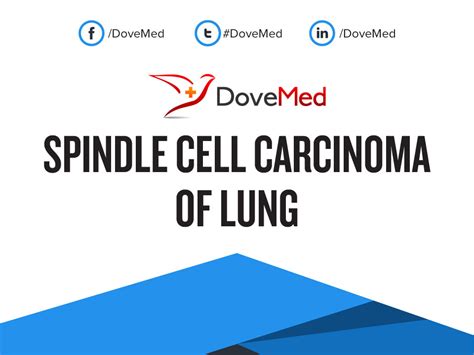 Spindle Cell Carcinoma of Lung