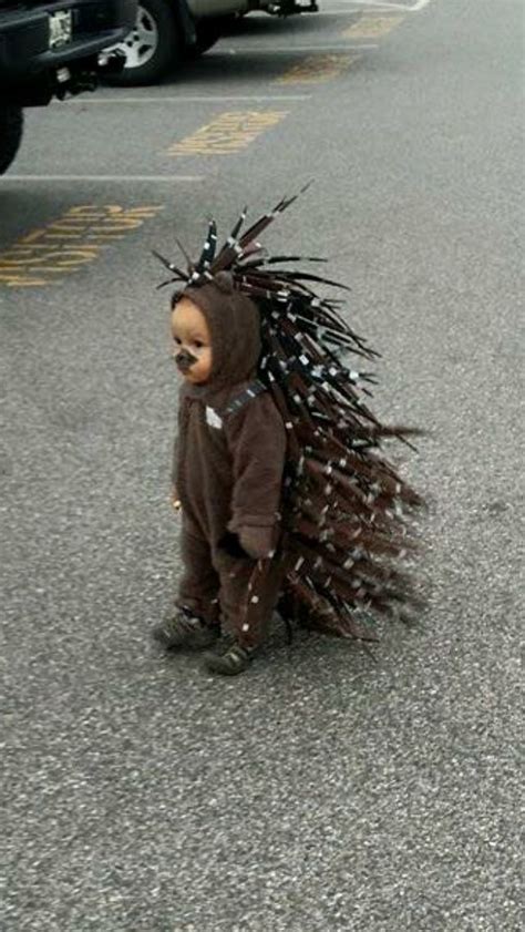 Porcupine kids Halloween costume | Childrens halloween costumes, Childrens halloween, Boy ...