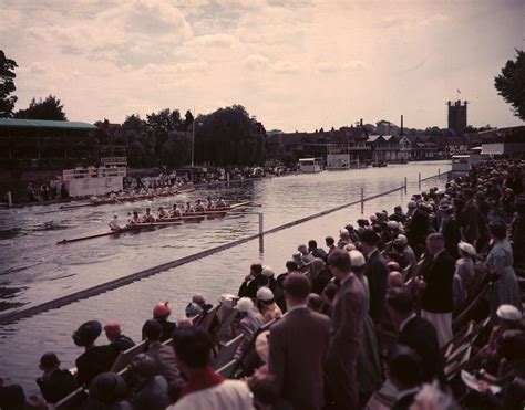 Henley Regatta Photograph by Hulton Archive - Fine Art America