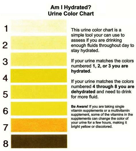 Bright Yellow Urine Pregnancy Sign | Renew Physical Therapy