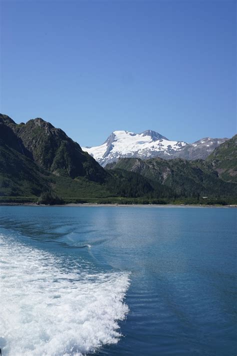 Lost But Loving It...In Alaska!: 26 Glacier Cruise