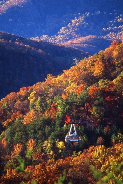 Great Smoky Mountains - Why Come To Gatlinburg This Year | Gatlinburg ...