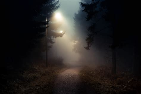 Dirt road in a dark and foggy forest | Getty Images Gallery