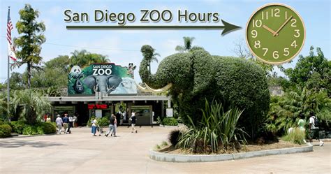 San Diego Zoo Hours Near Me - Open/Closed | Summer, Holiday Hours