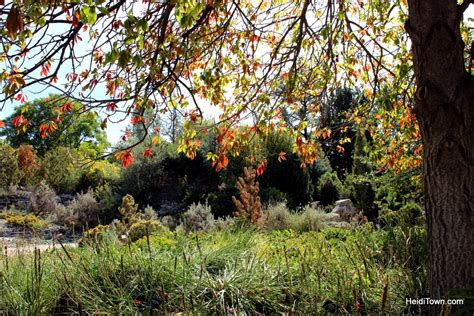 A fall visit to the Denver Botanic Gardens - HeidiTown