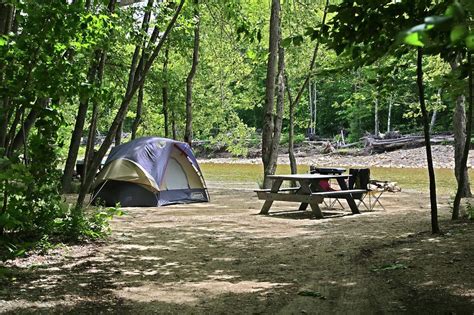 Yogi Bear’s Jellystone Park- Camp Resort Glen Ellis - 19 Photos & 19 ...