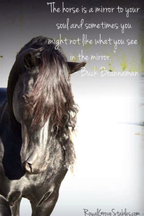 The Horse Whisperer Quotes. QuotesGram