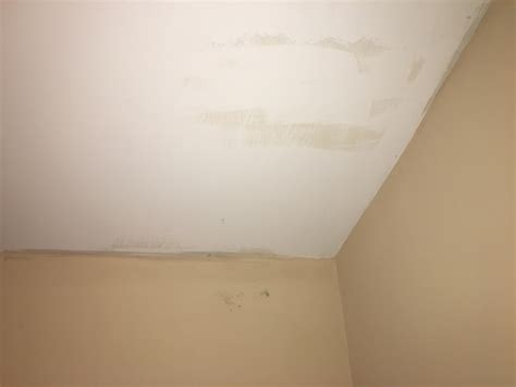 Guide to Mold on Walls ......Removal Protocol, Products to Use ...