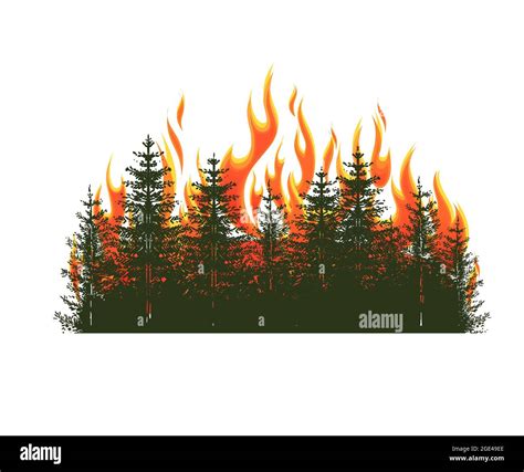 Silhouette of coniferous trees on wildfire Stock Vector Image & Art - Alamy