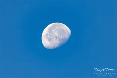 Daytime waning gibbous moon | Tony's Takes Photography