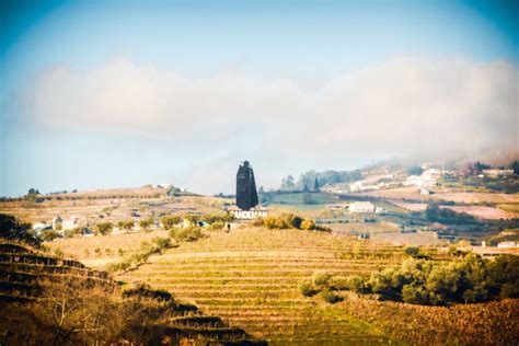 9 Of The Best Wine Tours In Porto That Pair Perfectly For Your Next ...