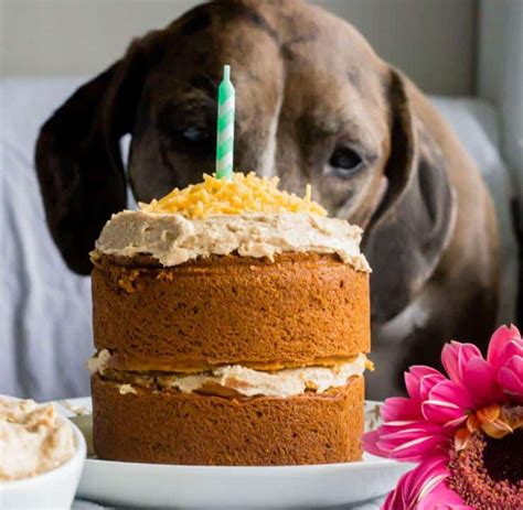 14 Dog Birthday Cake & Cupcake Homemade Recipes | PlayBarkRun