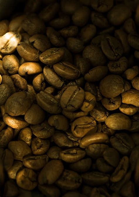 Coffee Beans Closeup Photography · Free Stock Photo