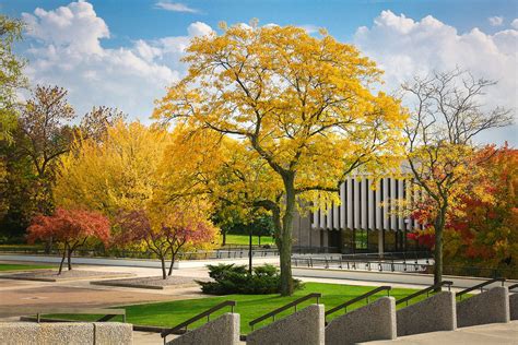 Photos: Take time to watch the leaves turn – Inside UW-Green Bay News