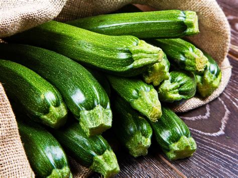 Tips For Growing Zucchini And Planting Zucchini