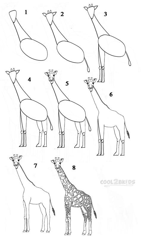 How To Draw a Giraffe (Step by Step Pictures)