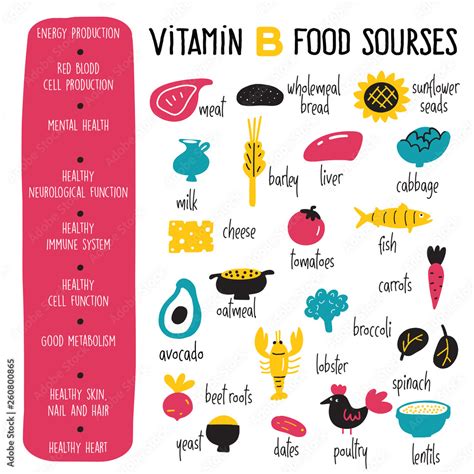 Vitamin B complex. Vector Cartoon infographics poster with illustration of food sources. Stock ...