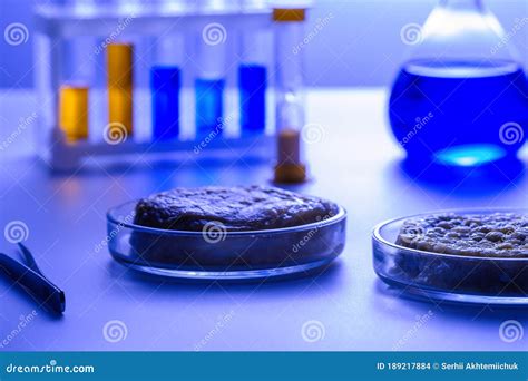 .Synthetic Meat Production. Checking the Product for Suitability in the ...