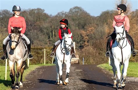 A Beginner's Guide to Horse Riding Safety Equipment | Houghton Country