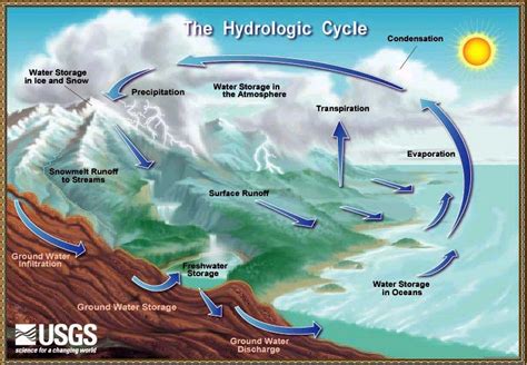 Hydrologic Cycle - Science Olympiad Student Center Wiki