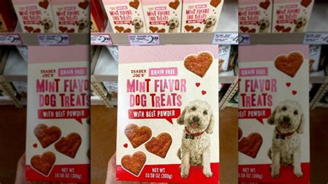 Trader Joe's Has The Perfect Way To Celebrate Valentine's Day With Your Dog