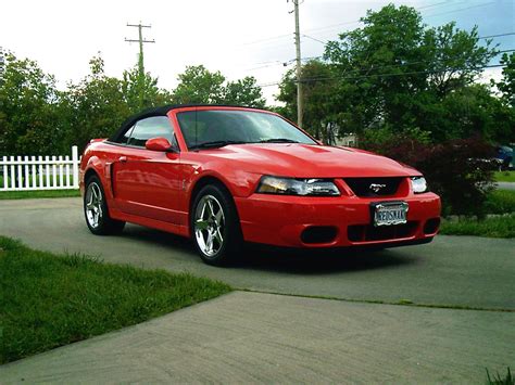 2003 Ford Mustang SVT Cobra - Pictures - CarGurus