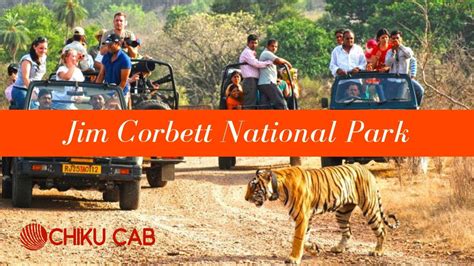 Ride In Comfort for the Jim Corbett Wildlife SafariChiku Cab Travel Blog