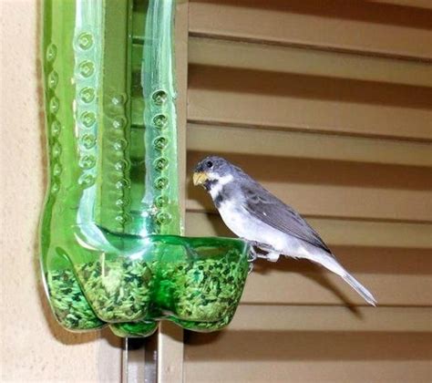 Homemade Bird Feeders From Plastic Bottles