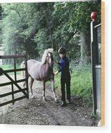 Anthony Radziwill With A Pony by Horst P. Horst