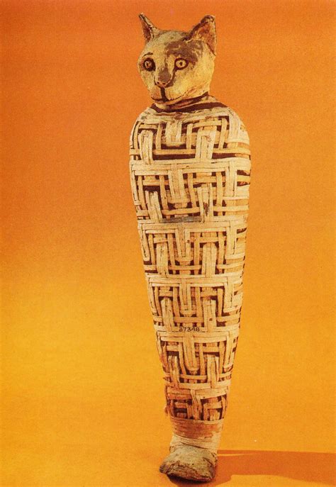 Mummy of an Egyptian cat, from The British Museum. The pattern of the ...