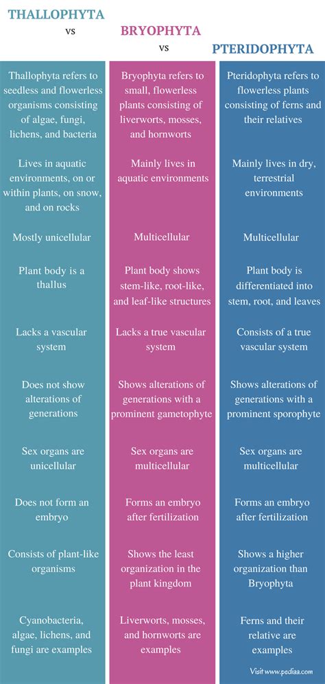 Difference Between Thallophyta Bryophyta and Pteridophyta | Definition ...