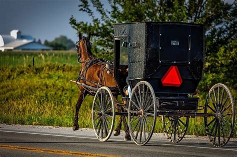 Amish Buggy Sighting - AAA Buggy Rides