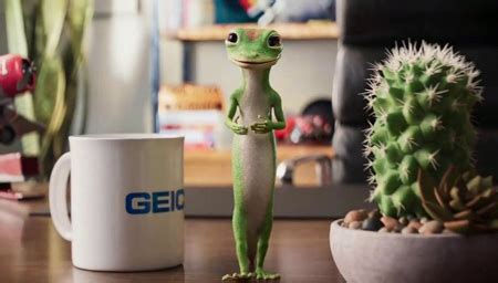 List Of GEICO Commercial Actors And Actresses 2023