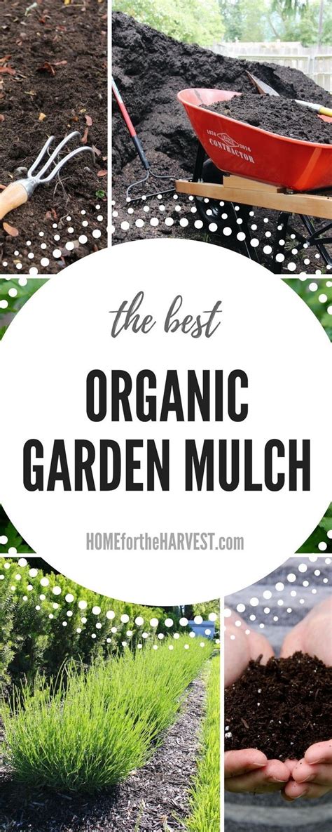 These organic mulches will keep your garden looking great while also keeping weeds down and r ...