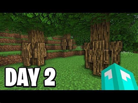 5 best Minecraft Hide and Seek servers