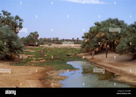 Chalbi desert hi-res stock photography and images - Alamy