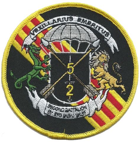 5TH SPECIAL FORCES GROUP 2ND BATTALION PATCH | Special forces, Special forces patch, Special ...