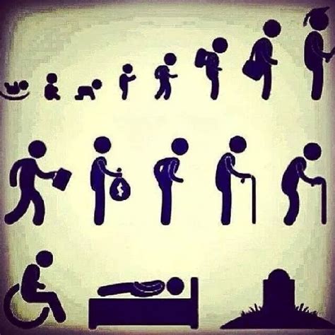 Human Life Cycle Birth To Death