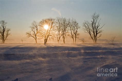 Snow Fields Photograph by Butch Lombardi | Fine Art America