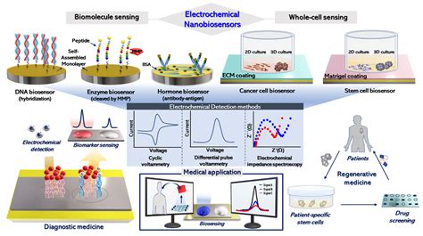 Electrochemical Detector