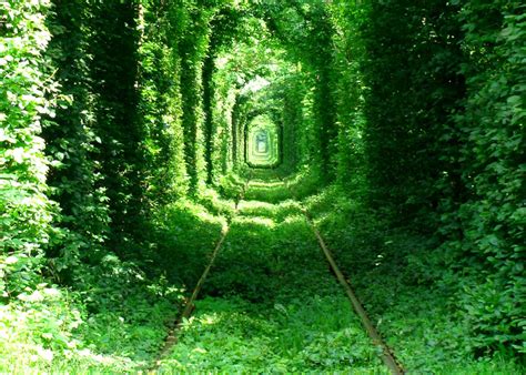 Railway Tunnel of Love near Klevan, Ukraine