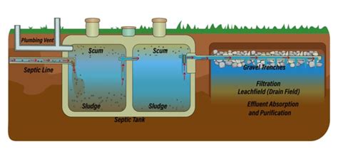 How To Approach Septic Tank Maintenance - Flamingo Plumbing