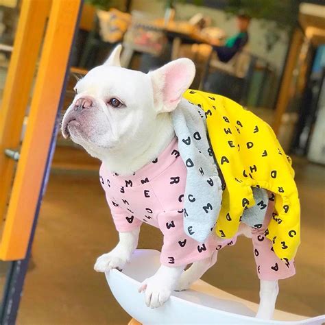 French Bulldog Onesie for Dog | Onesie Pajamas for Dogs | Pug Outfits – Frenchiely