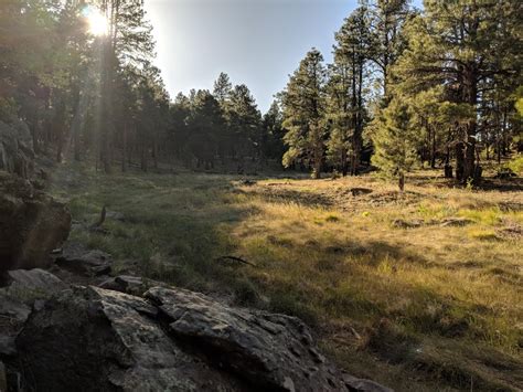 Campsite in northern Arizona : r/camping